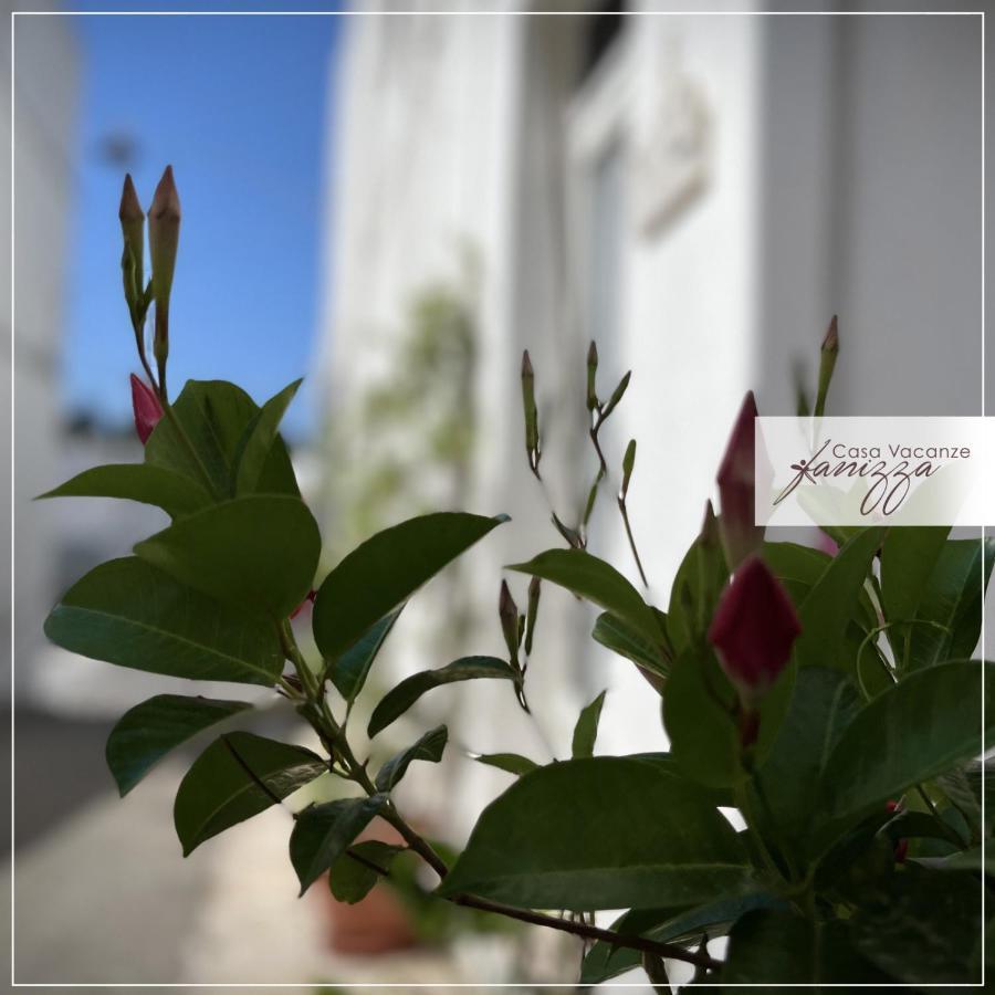 Rebecca E Sofia Stone House Affittacamere 알베르벨로 외부 사진
